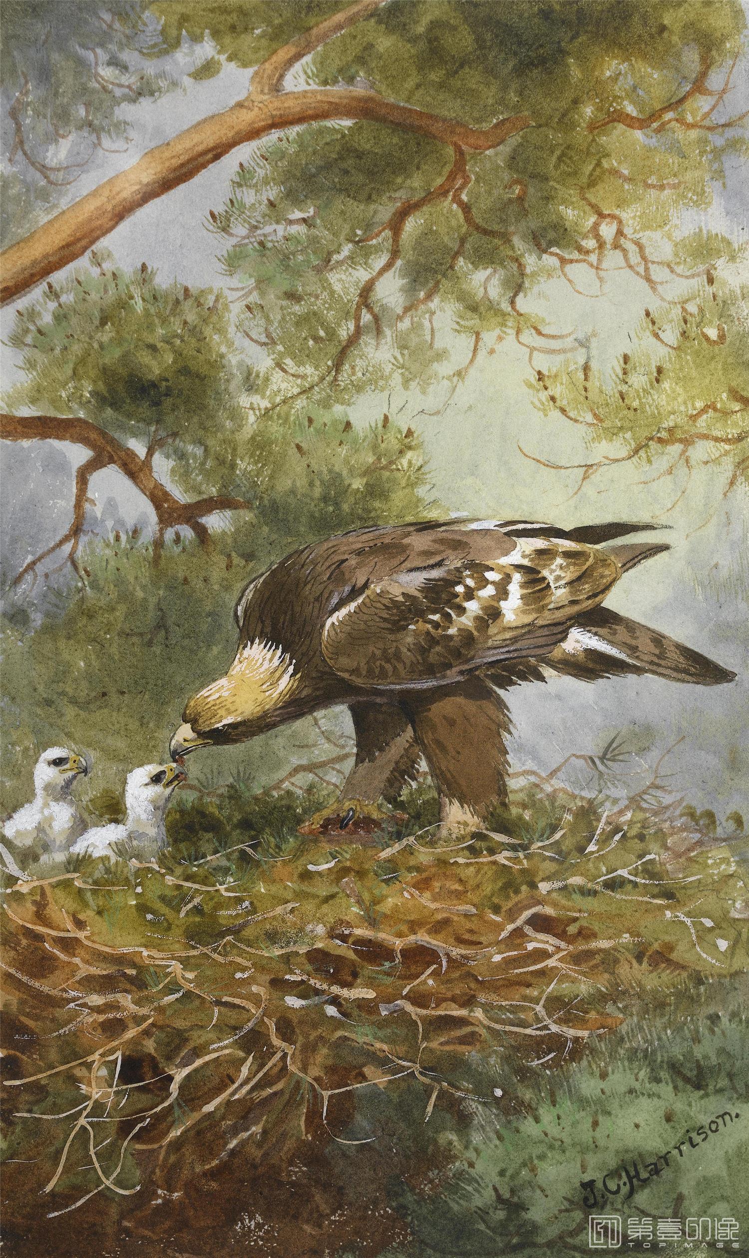 油画-约翰.赛里尔·哈里森 John Harrison作品集-058